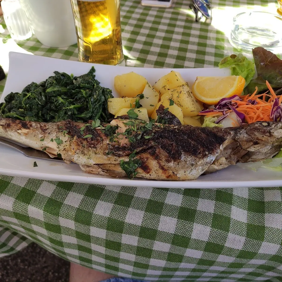 Zanderfilet Gegrillt