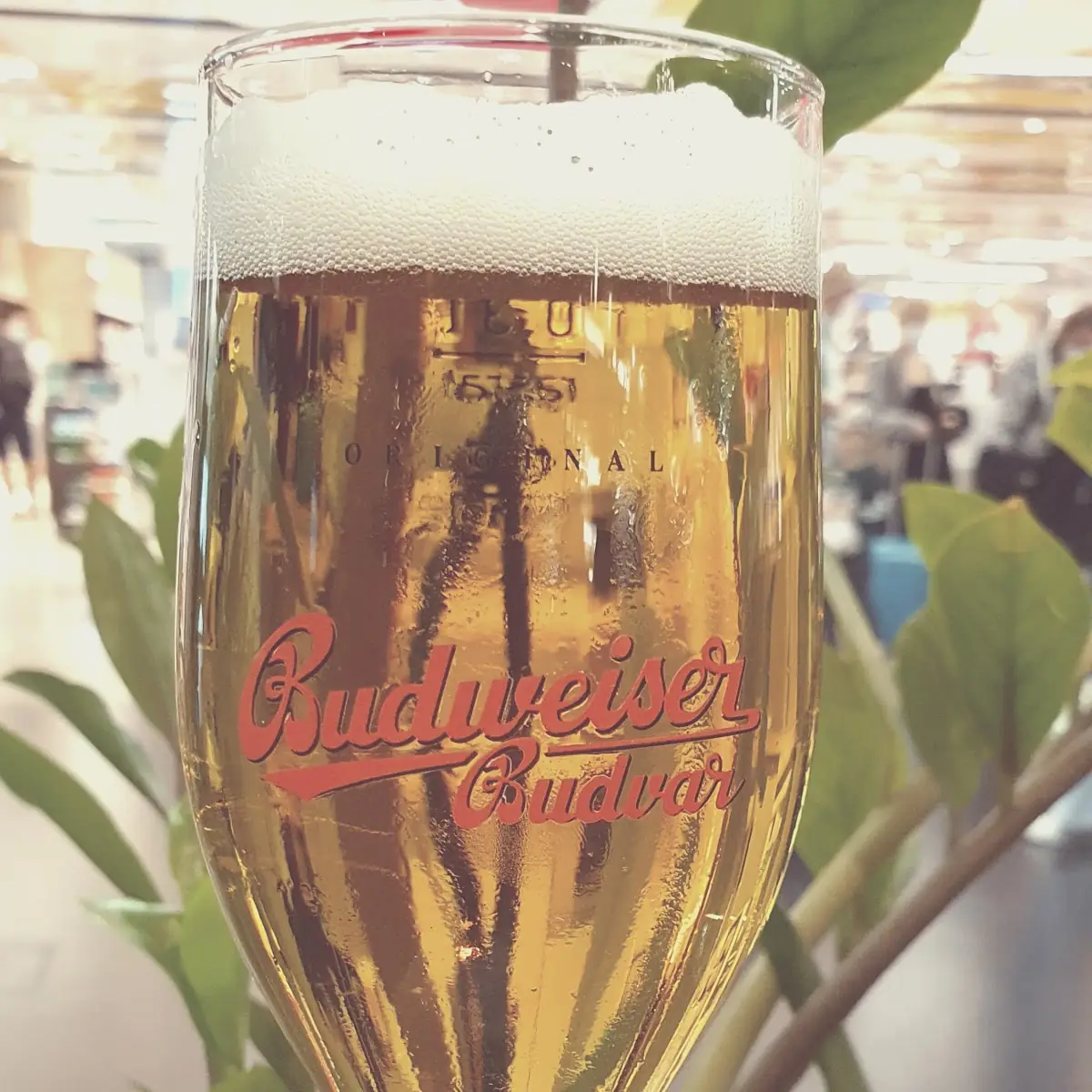 Budweiser