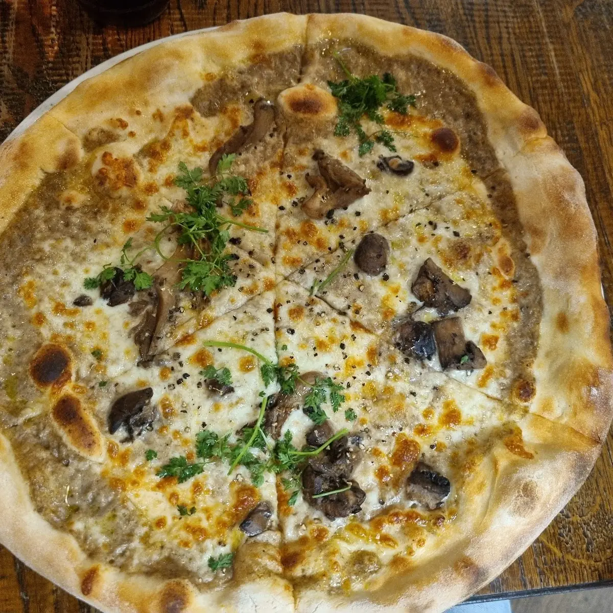 Pizza Funghi