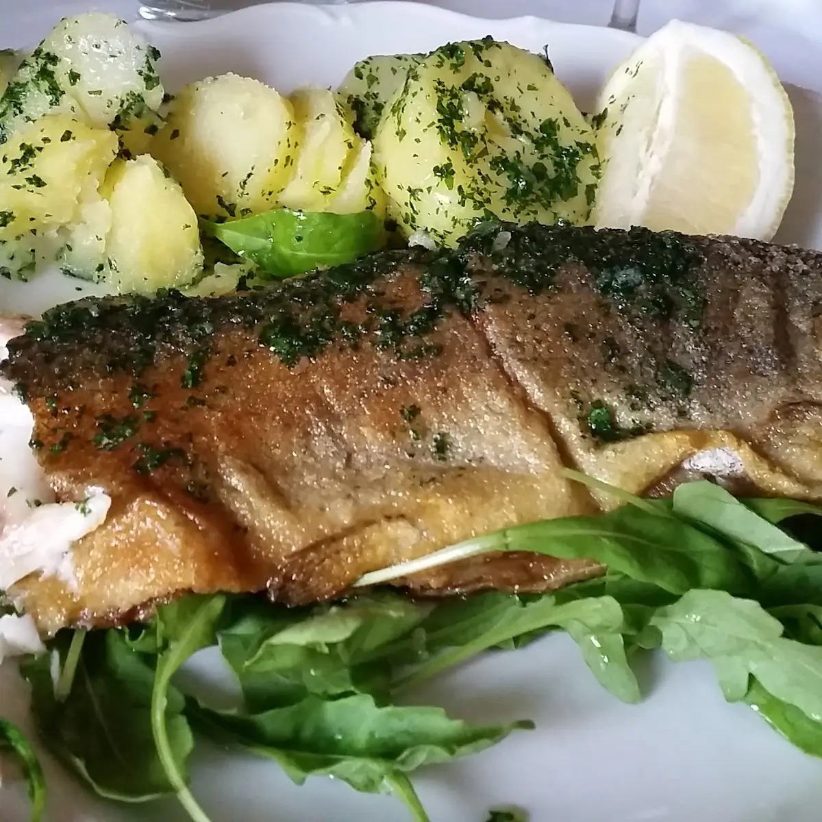 Forelle Vom Grill
