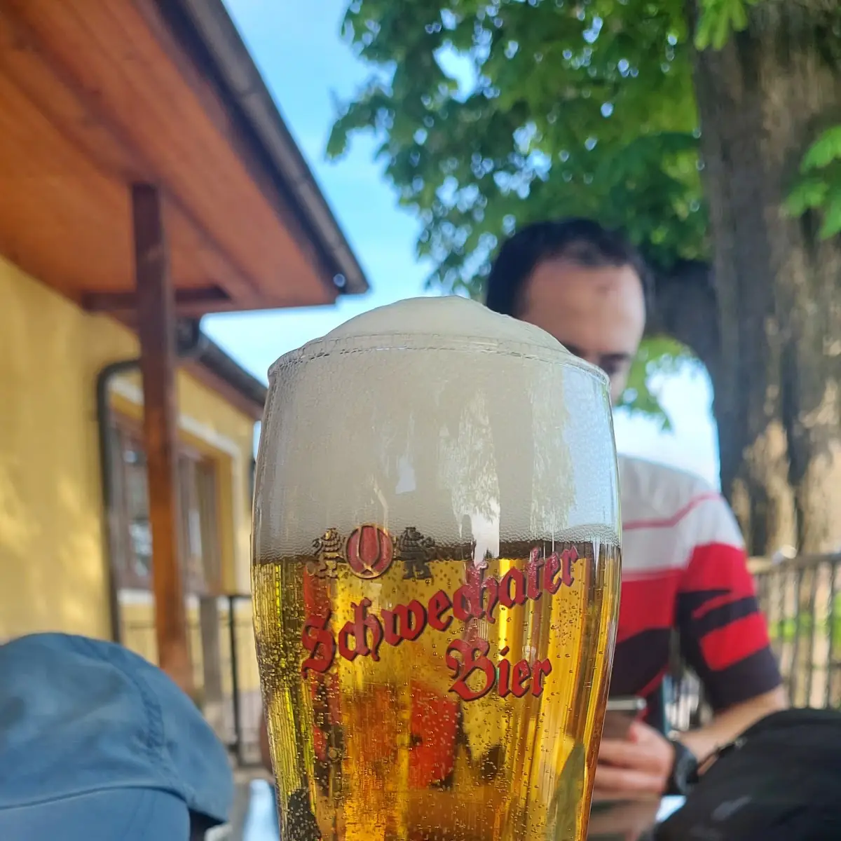 Bier