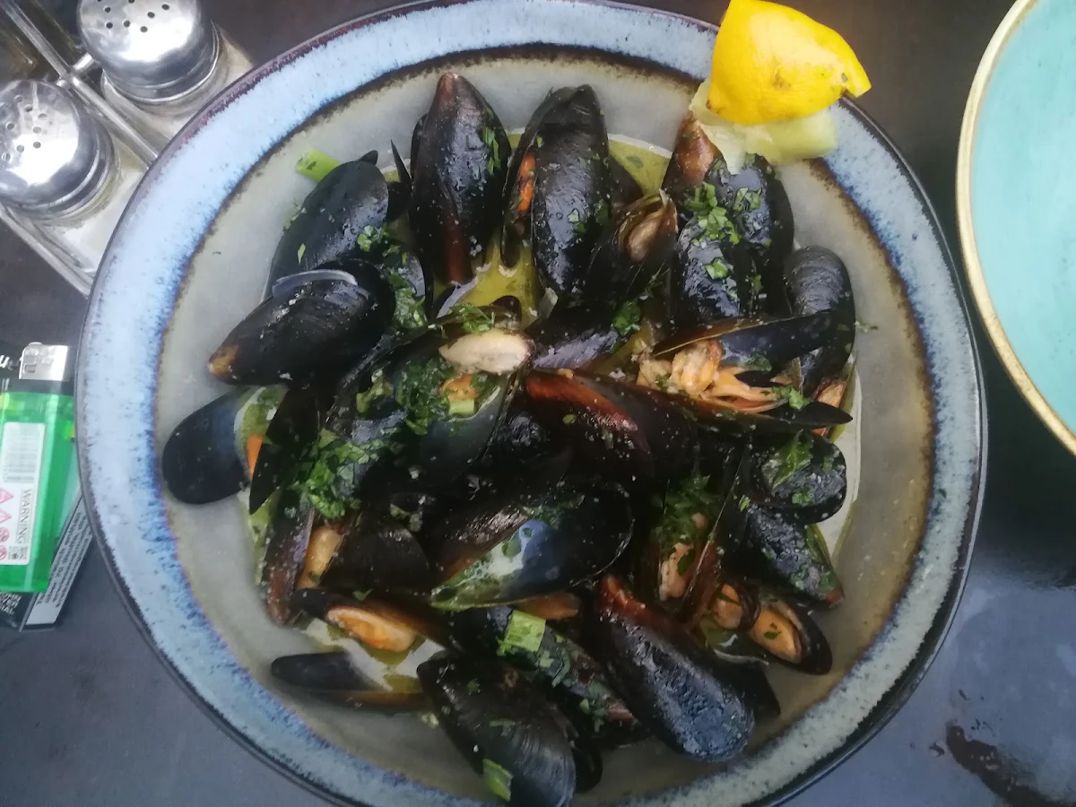 Muscheln