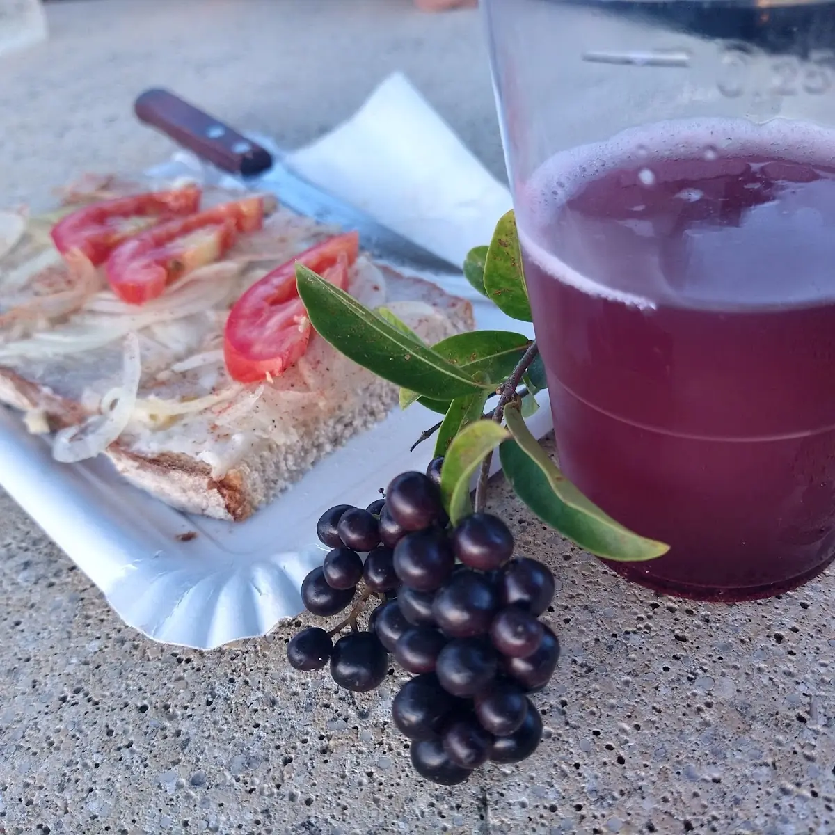 Schmalzbrot Mit Zwiebel Traubensaft