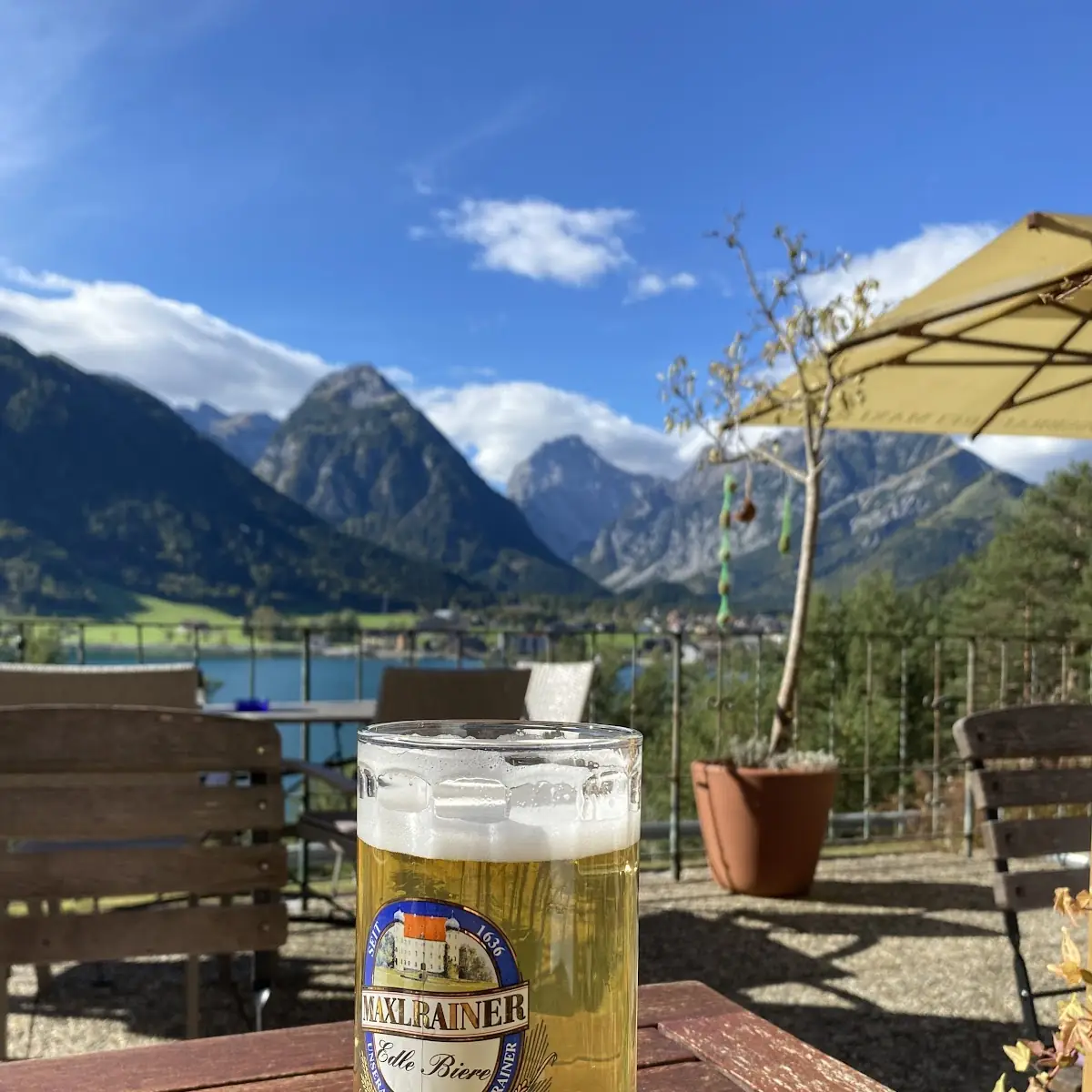 Bier