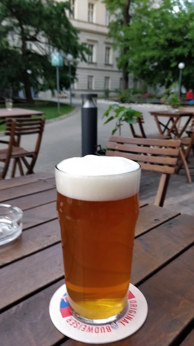 Brew Age Hopfenauflauf