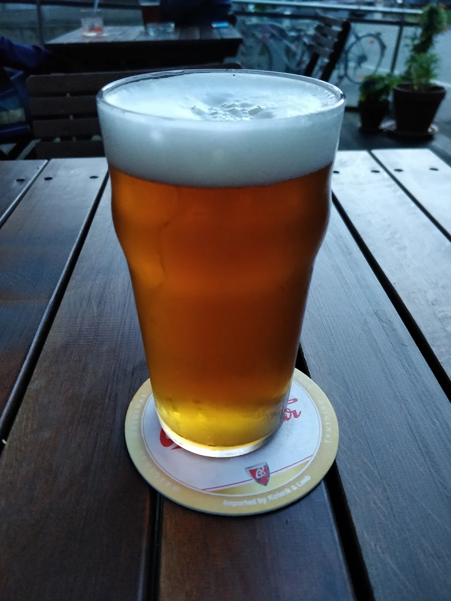 Brewage IPA Hopfenauflauf