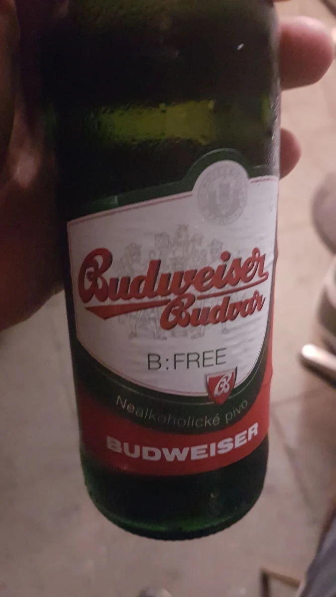 Dunkles Budweiser