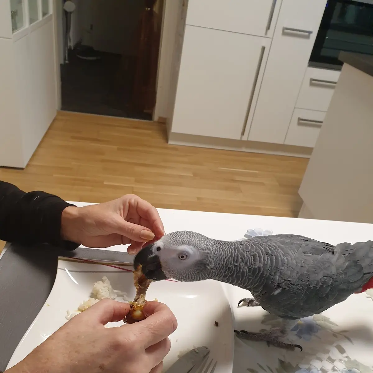 Hühnerkeule