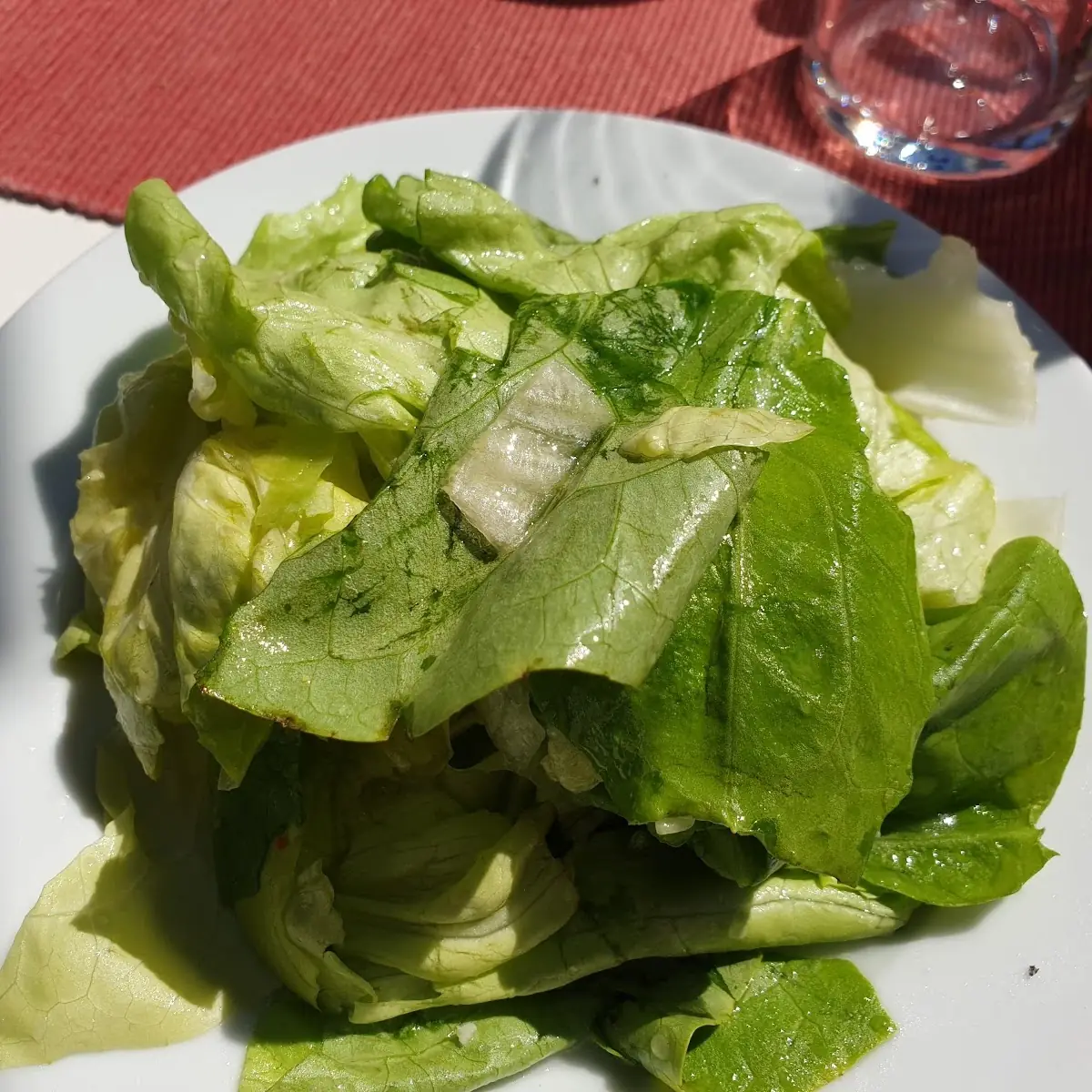 Grüner Salat