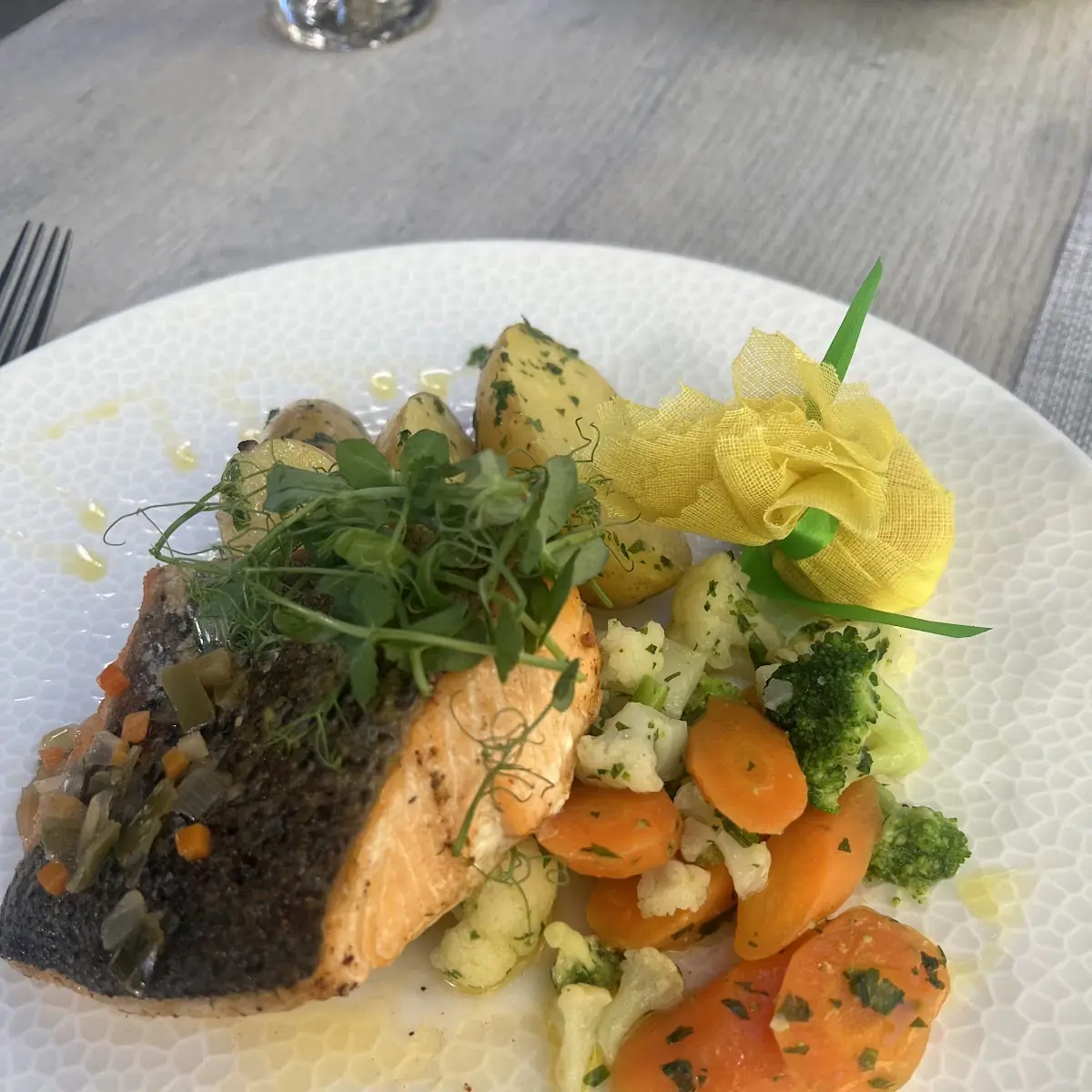 Salmon