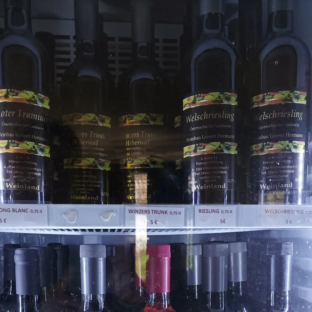 Wein Víno