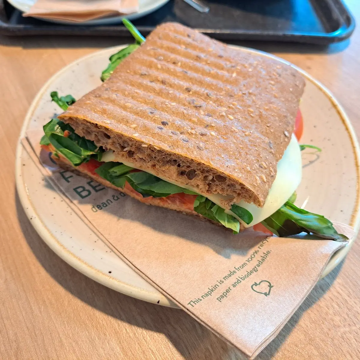 Vegetarian Sandwich