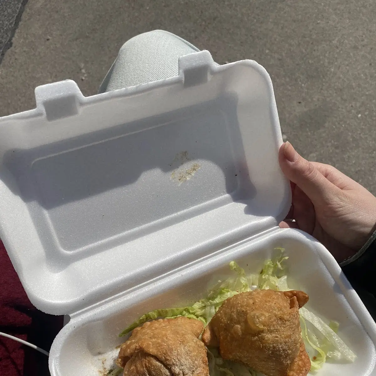 Homemade Samosas