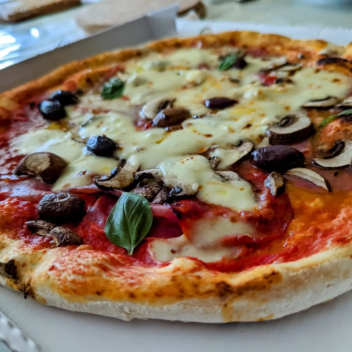 Pizza Capricciosa
