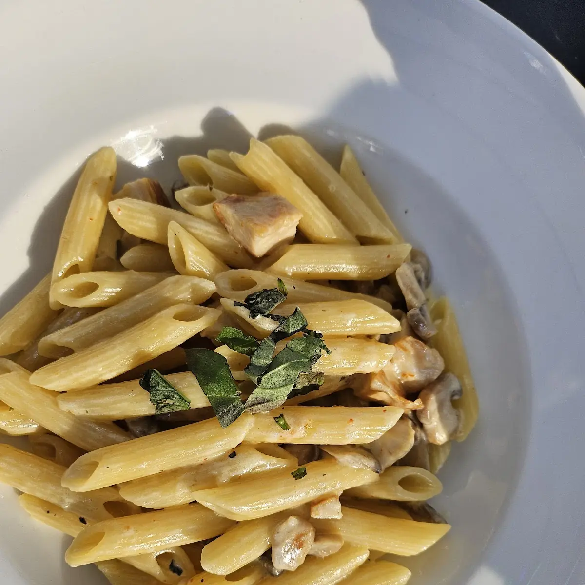 Penne Con Pollo