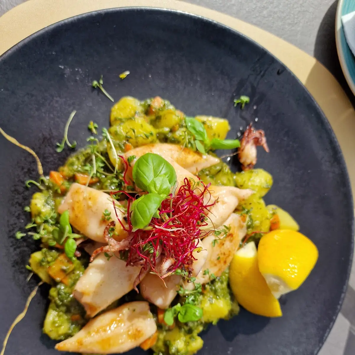 Calamari, Panorama Caffe Brasserie