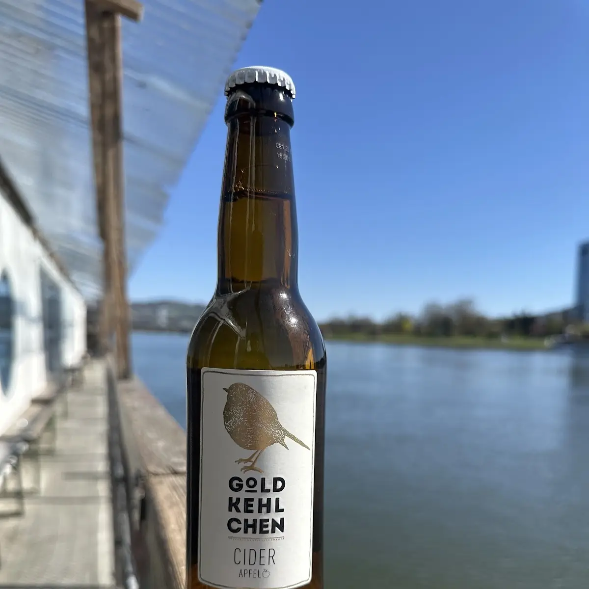 Goldkehlchen Cider