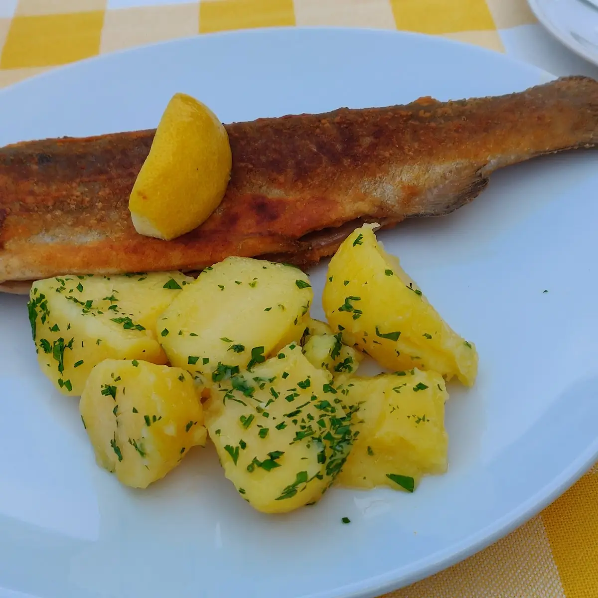 Gebratene Forelle Nicht Gebacken
