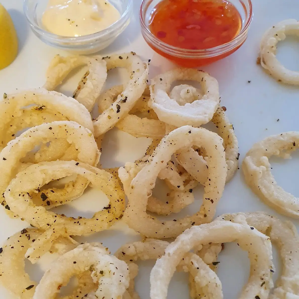 Tintenfischringe