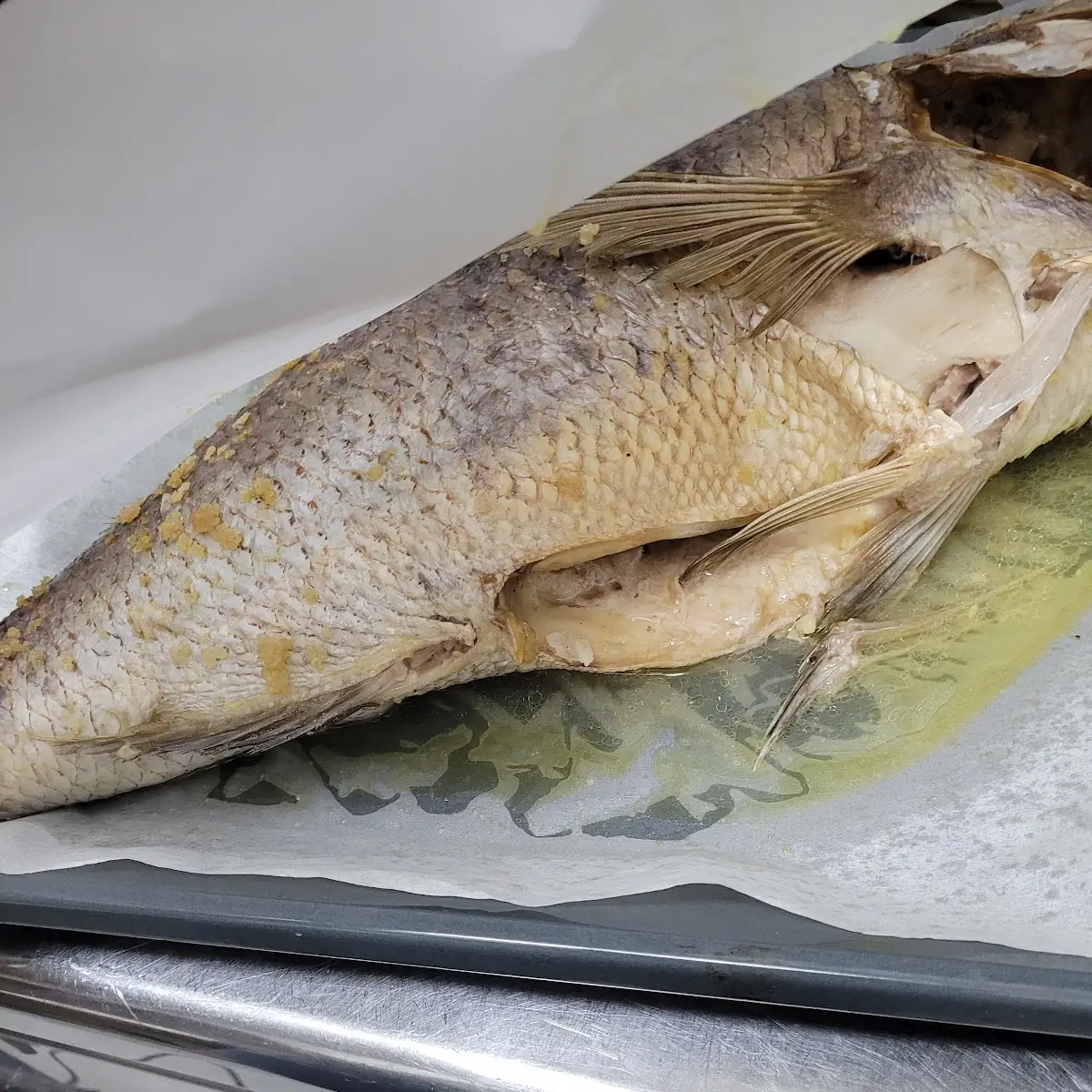 Sinagrilla 4 KG Gefangen In Samos Grichenland Vom Backofen