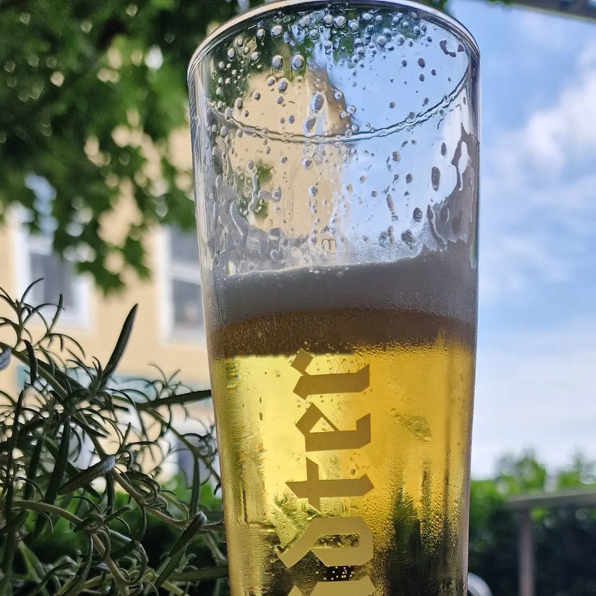 Freistädter Bier Vom Fass
