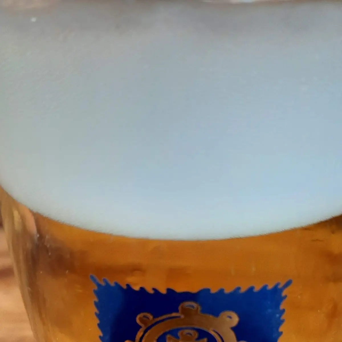 Bier