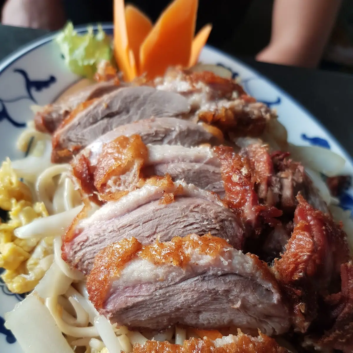 Ente Mit Nudeln