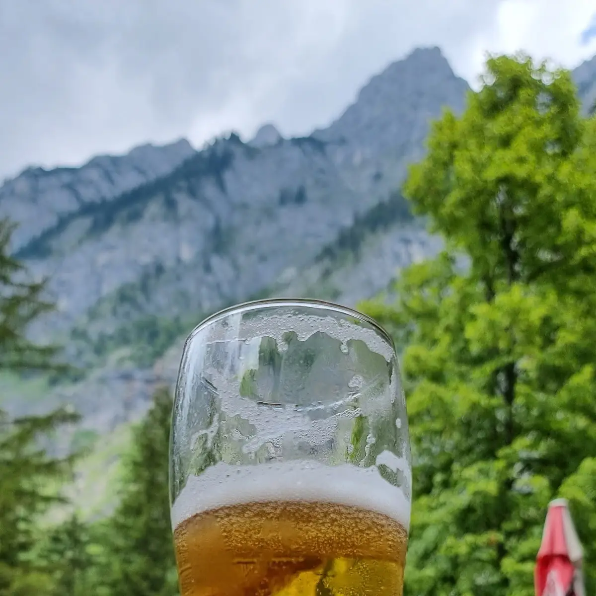 Bier