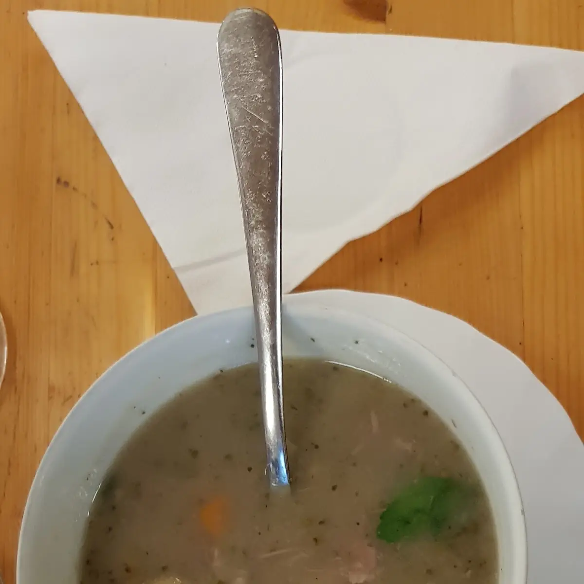 Ganslsuppe
