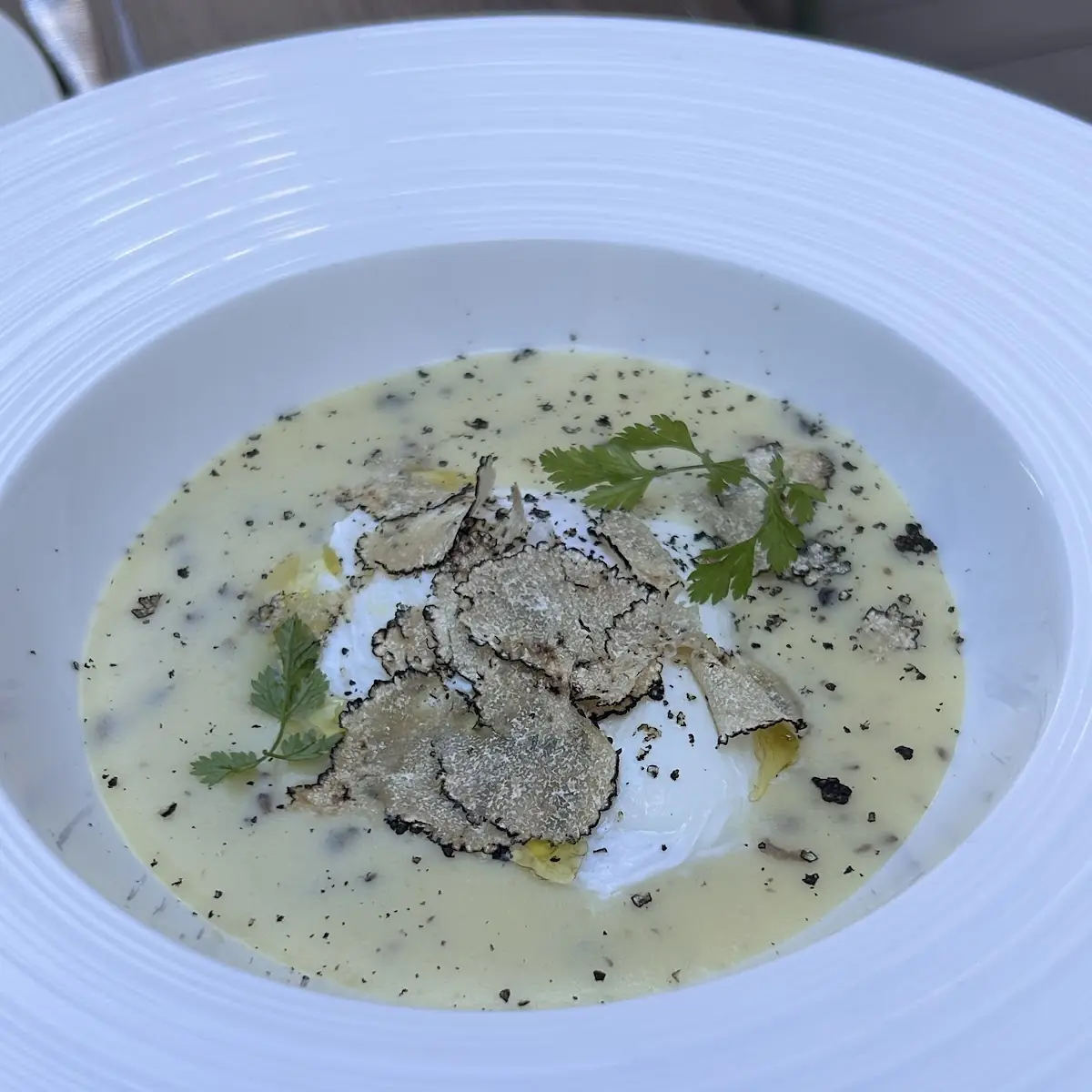 Celery Root and Parsnip Cream Soup