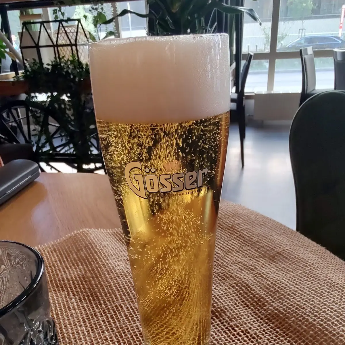 Bier