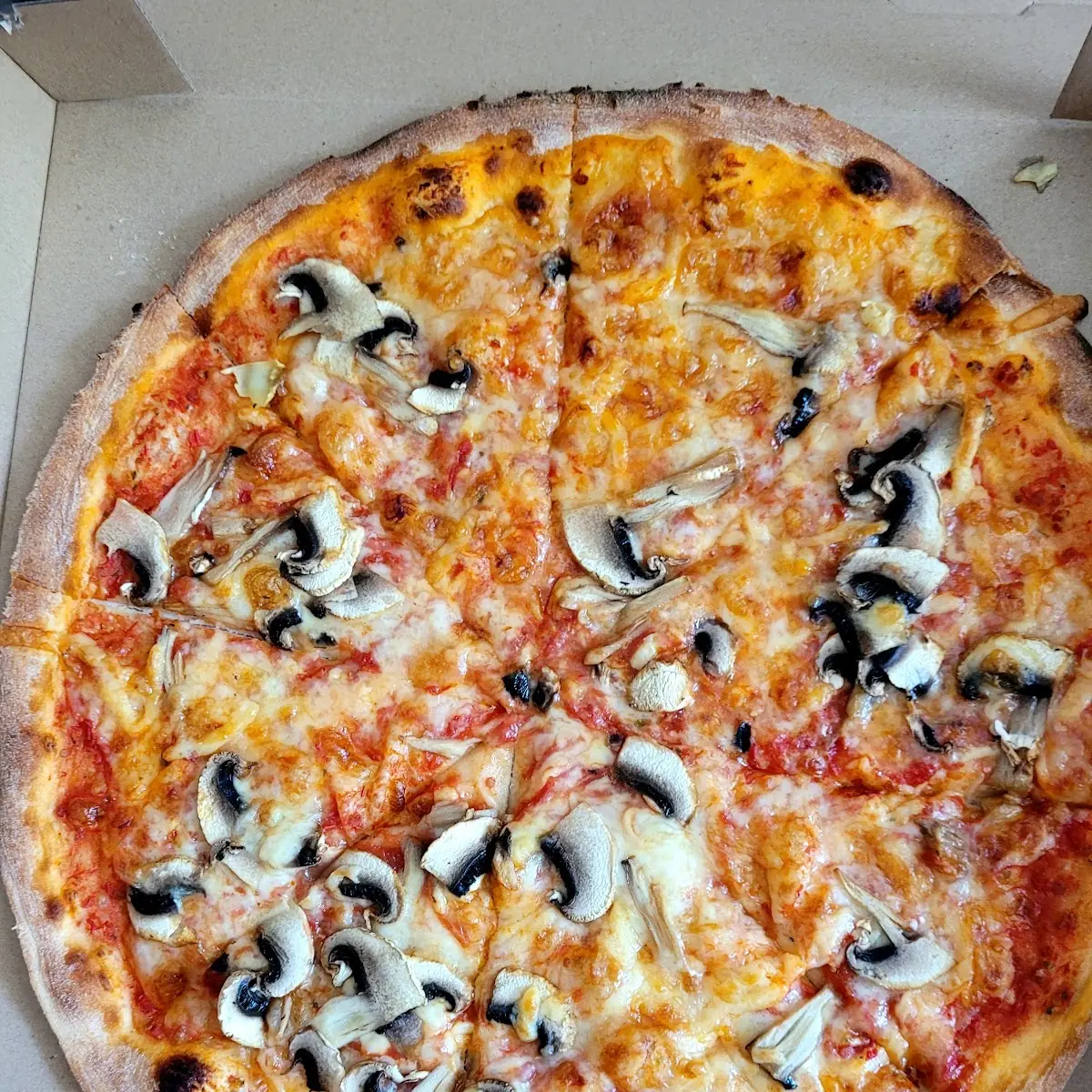 Pizza Funghi