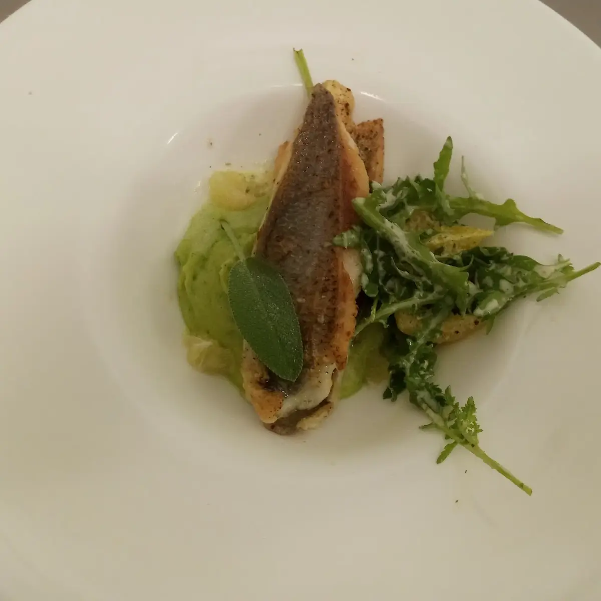 Fisch Orangensalat