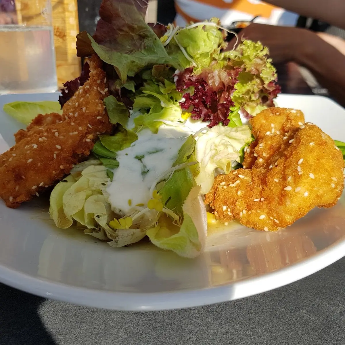 Hühnerbruststreifen Mit Gemischten Salat
