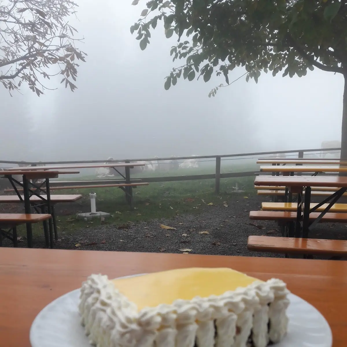 Eierlikör Torte
