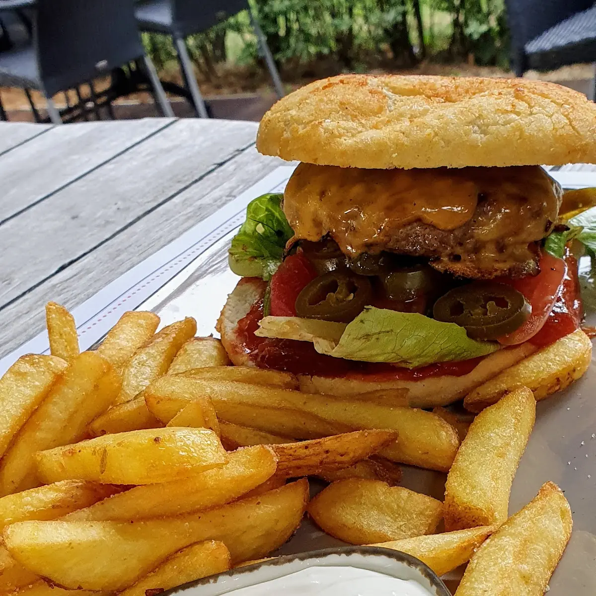 Hot N Spicy Burger