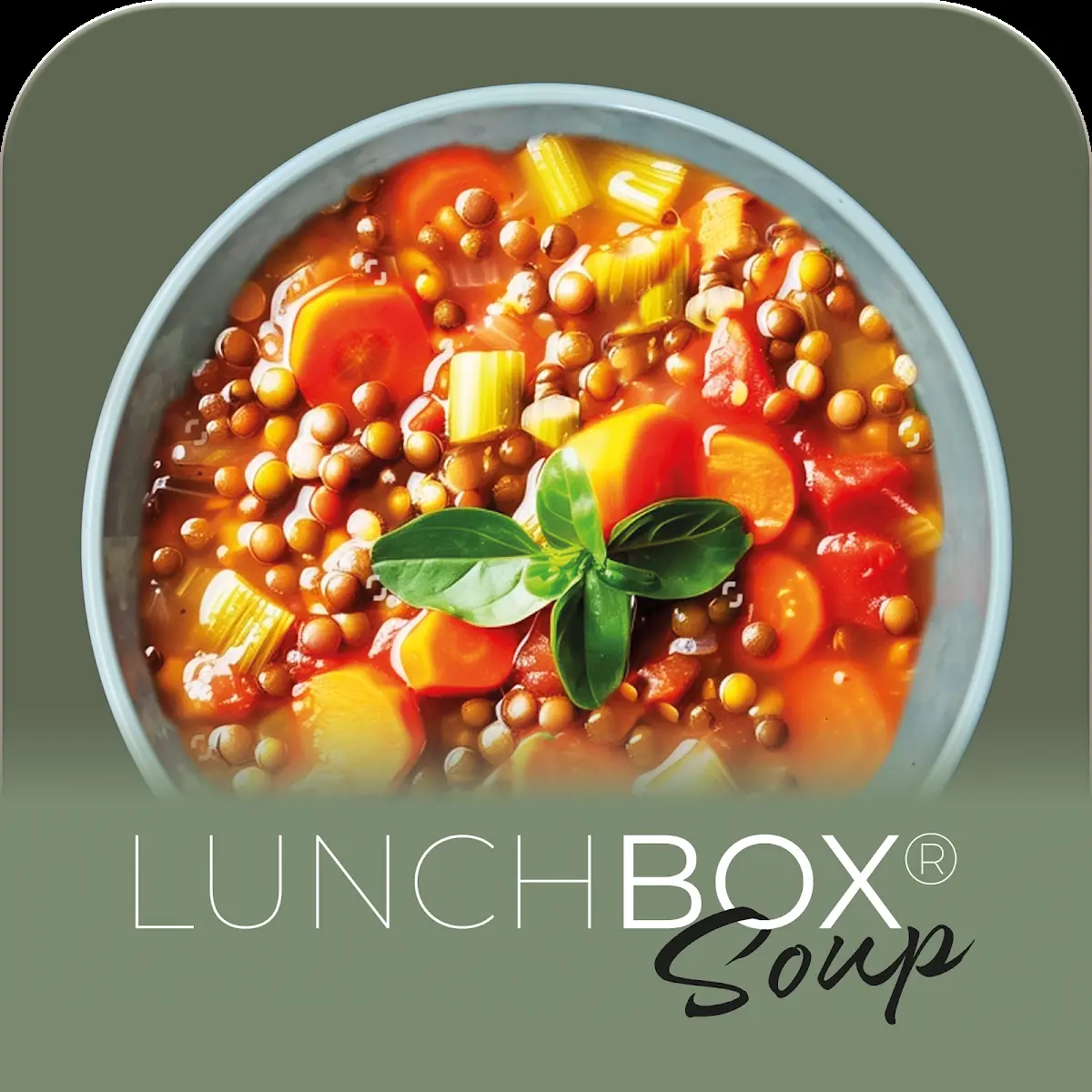 Lunchbox Soup