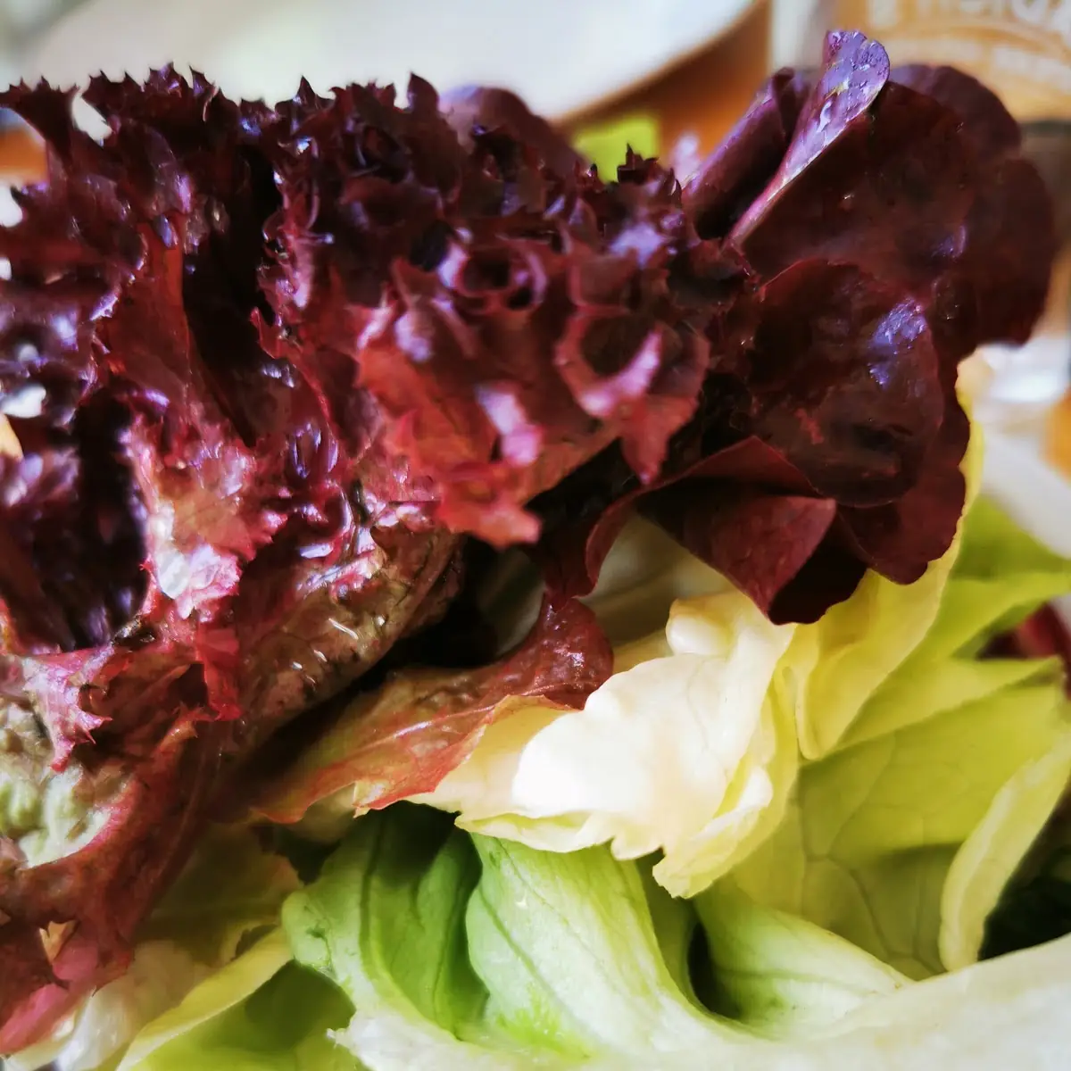 Gemischter Salat