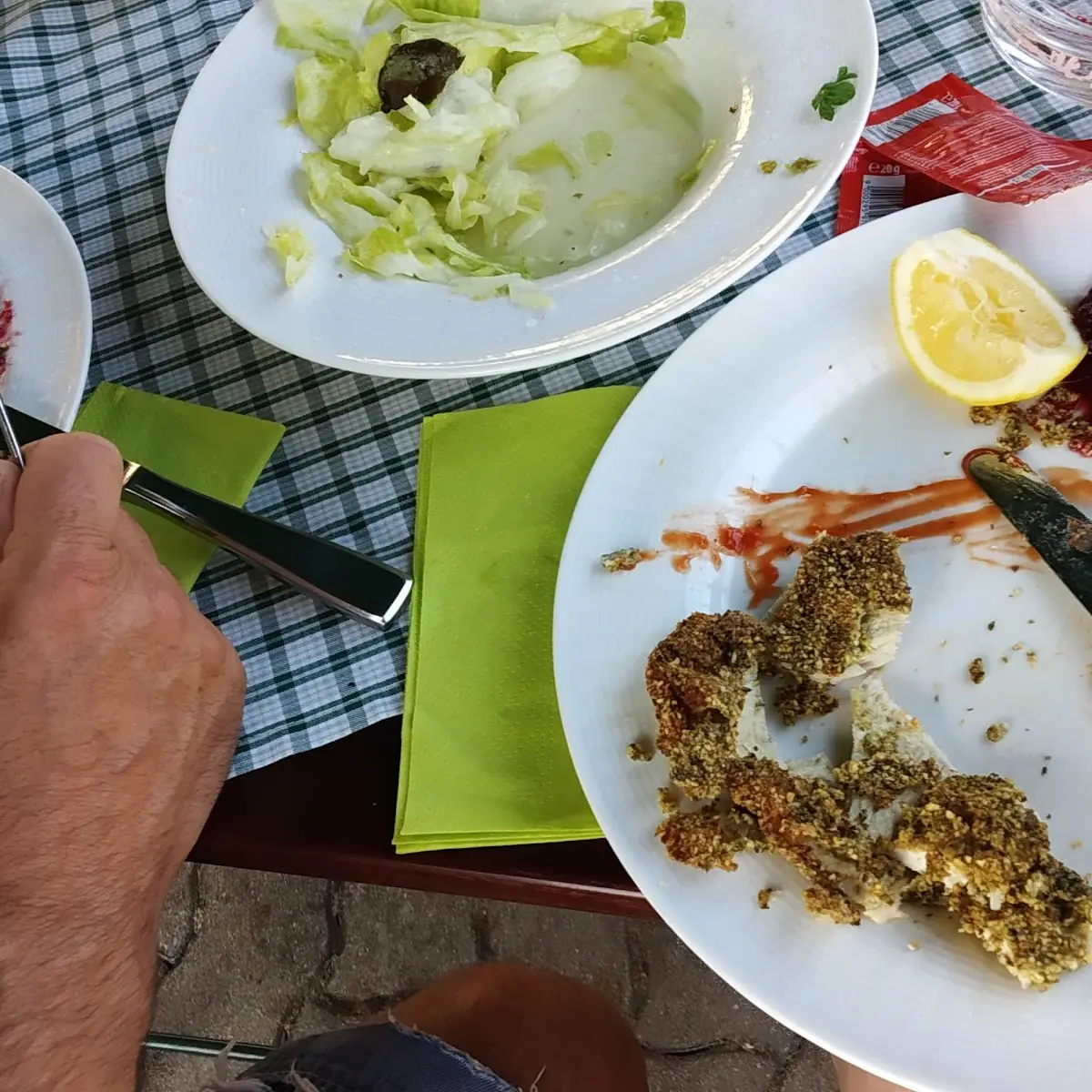 Puten-schnitzel