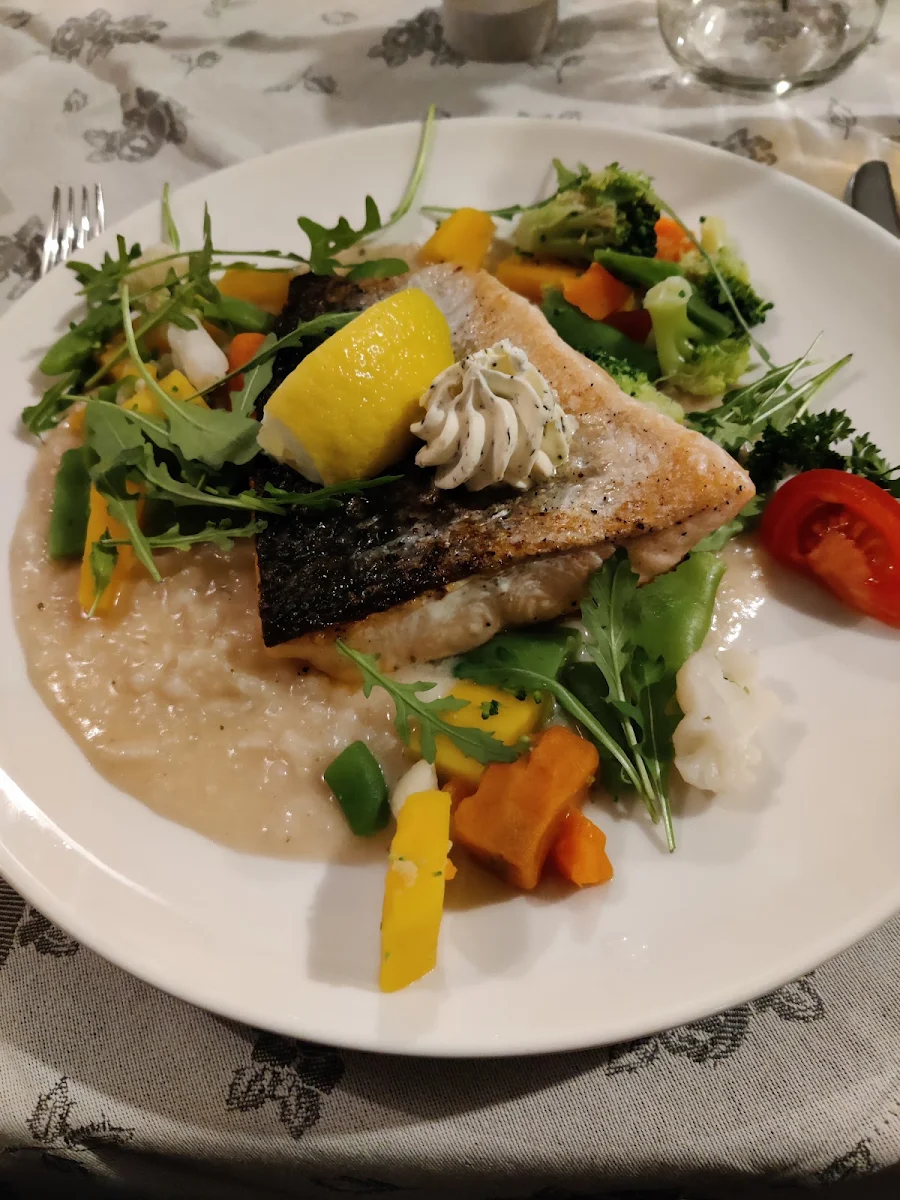 Salmon