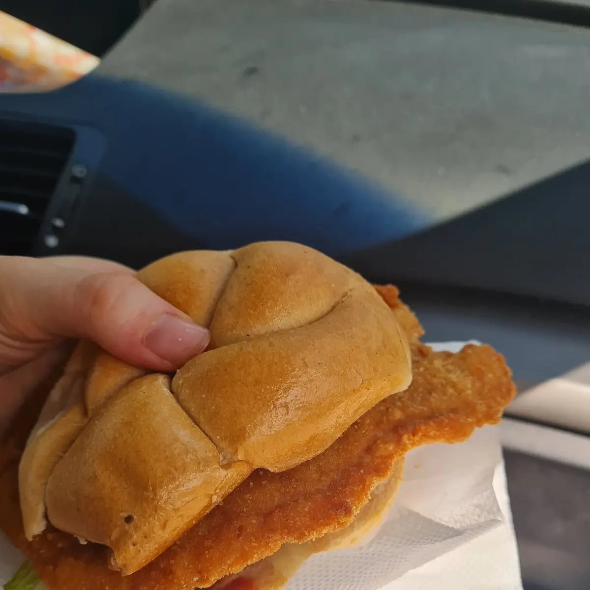 Schnitzel Semmel Mit