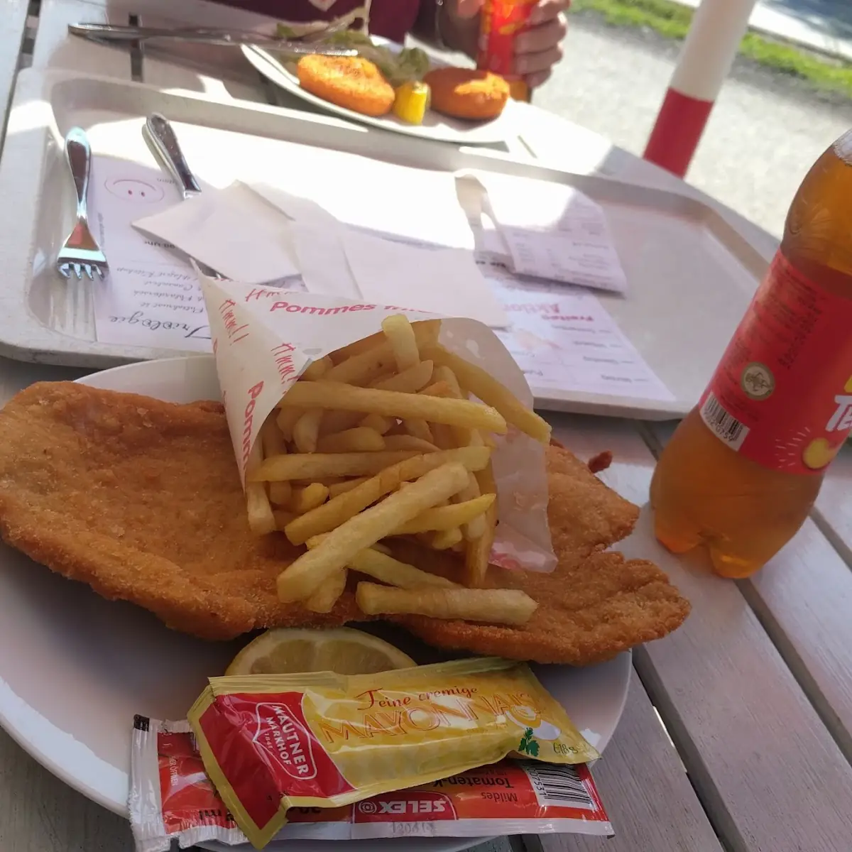 Schnitzel With Fries