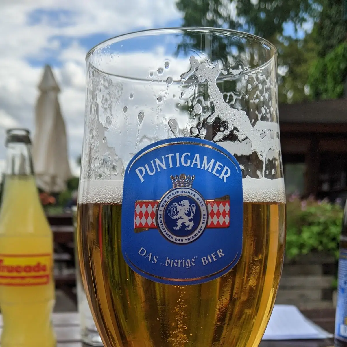 Bier