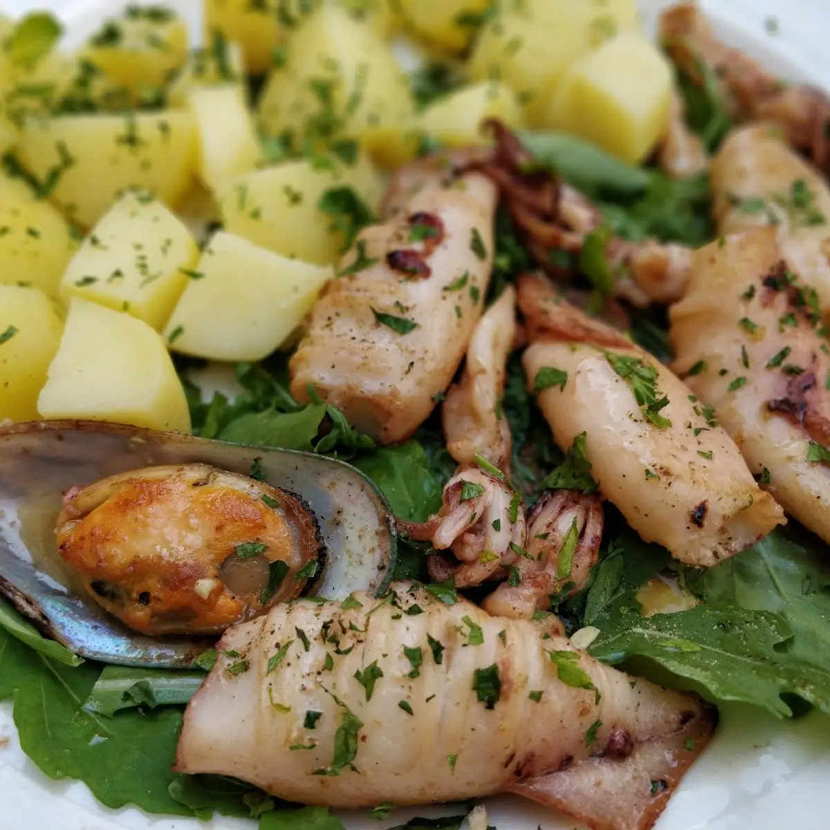 Calamari Alla Griglia