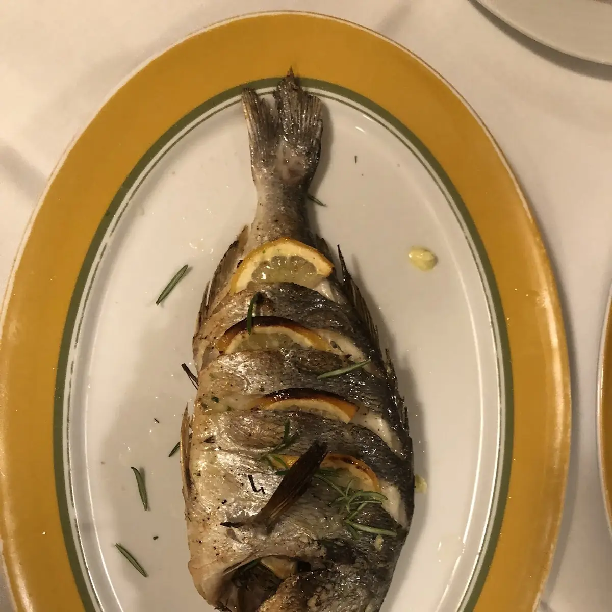Orata
