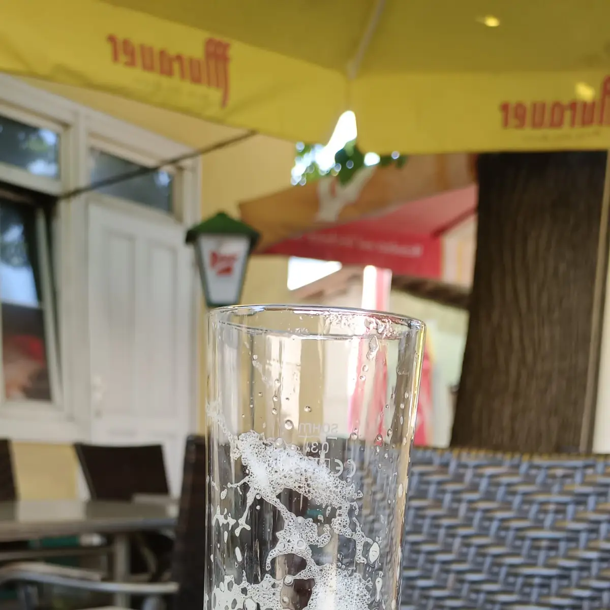 Bier