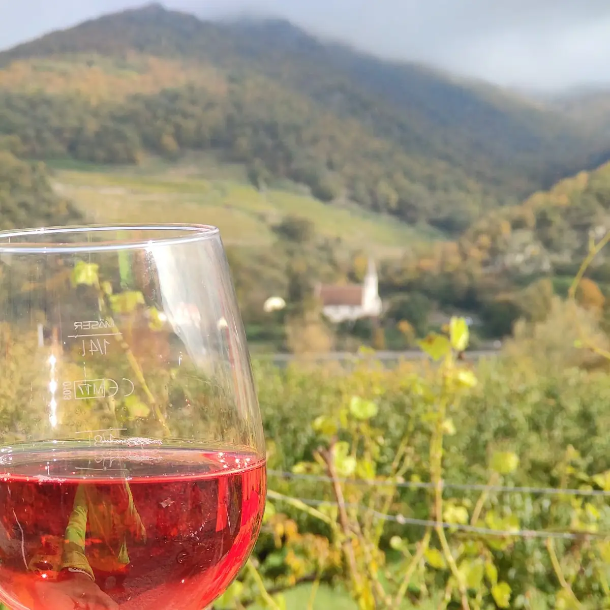 Wein