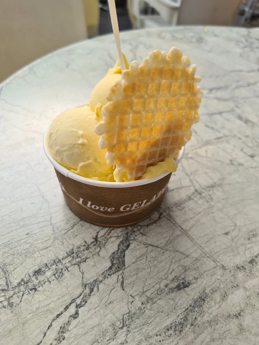 Marille Und Mango