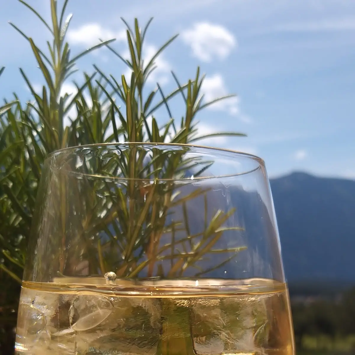 Spritzer