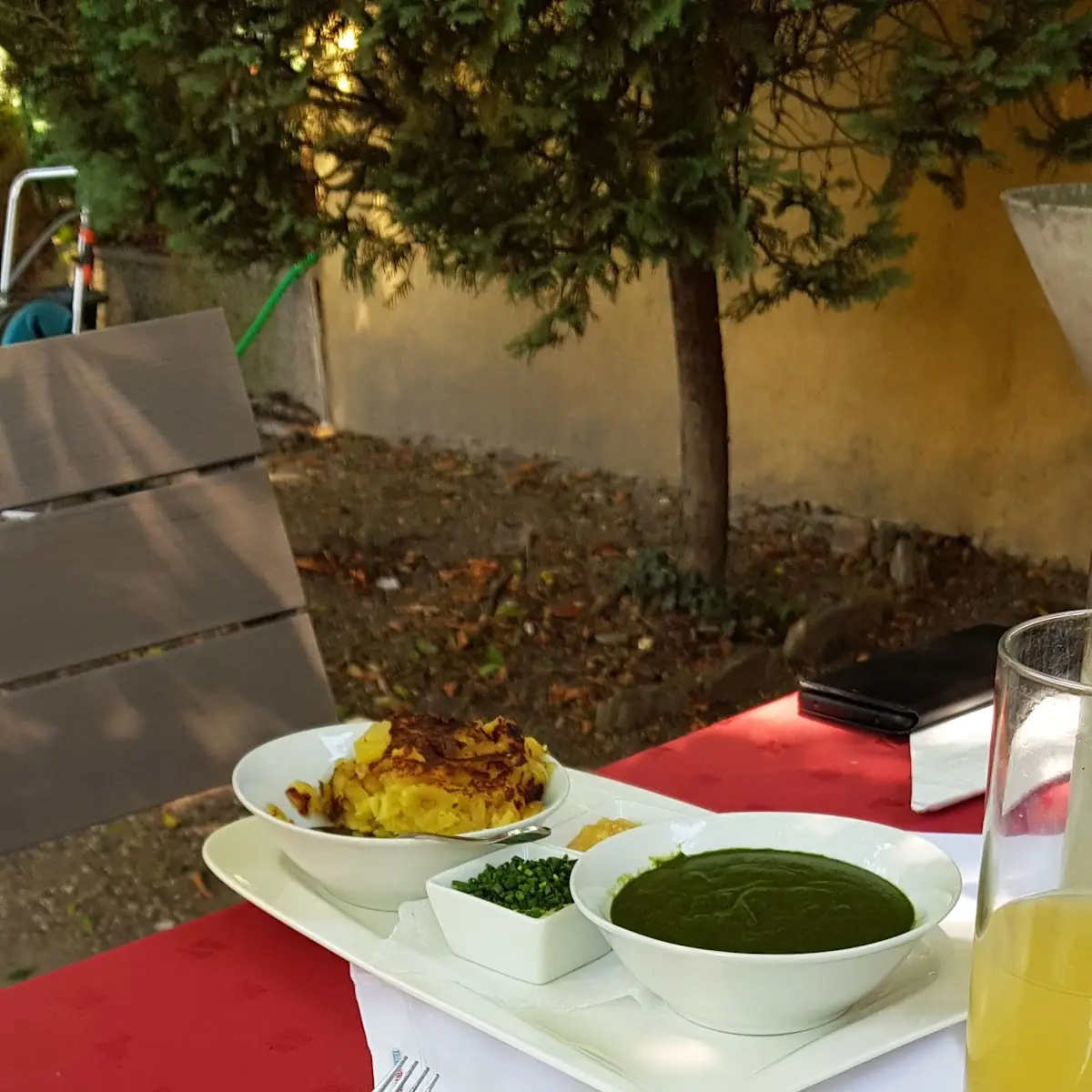 Eierschwammerln Mit Knödel